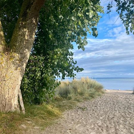 Вилла Feriendorf Suedstrand Haus 22 Пельцерхакен Экстерьер фото